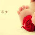 嬰靈(名詞解釋)