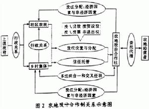 股份合作制