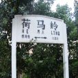 荷馬嶺站 荷馬嶺站