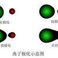 極化作用 極化作用