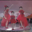 梅花姐妹 梅花姐妹