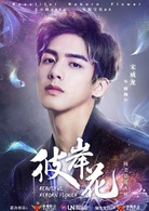 彼岸花(2017年林允、宋威龍主演電視劇)