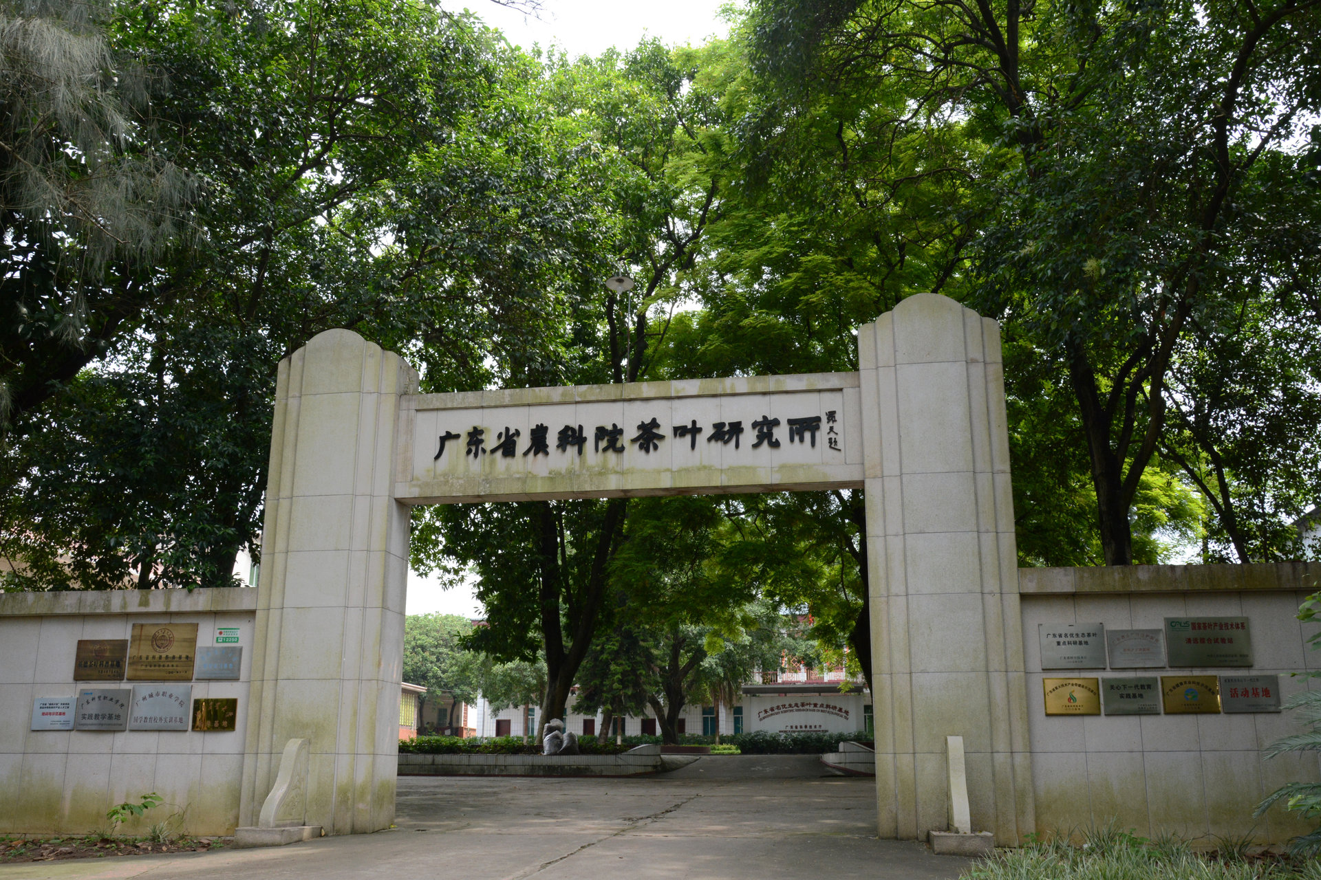 廣東省農業科學院茶葉研究所