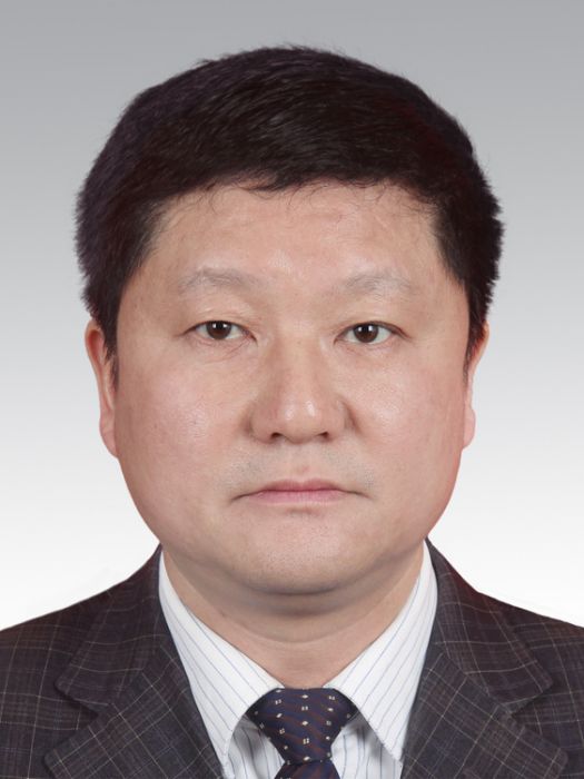 吳軍(陝西省渭南市國資委二級調研員) 吳軍(陝西省渭南市國資委二級調研員)