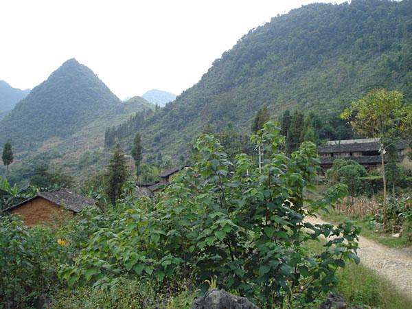 山格拉村 山格拉村