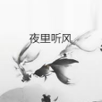 夜裡聽風 夜裡聽風