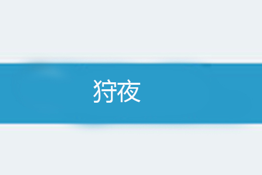 狩夜(小說)