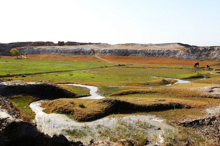 新疆英吉沙國家濕地公園