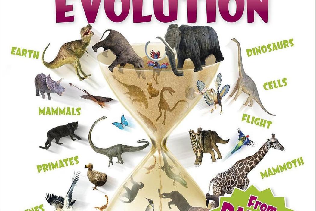 All About Evolution All About Evolution