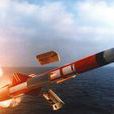 飛魚反艦飛彈(飛魚(法國空對艦飛彈)) 飛魚反艦飛彈(飛魚(法國空對艦飛彈))