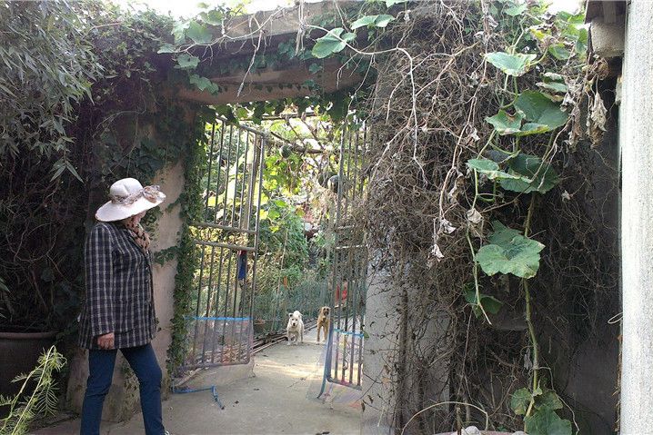 煙墩遺址 煙墩遺址