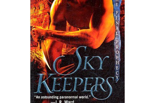 skykeepers skykeepers