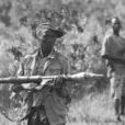剛果戰爭