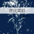 青慶菜彩 青慶菜彩