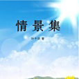 情景集 情景集