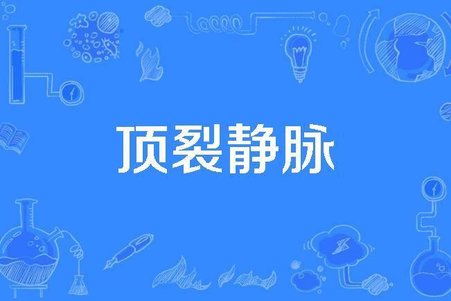 頂裂靜脈 頂裂靜脈