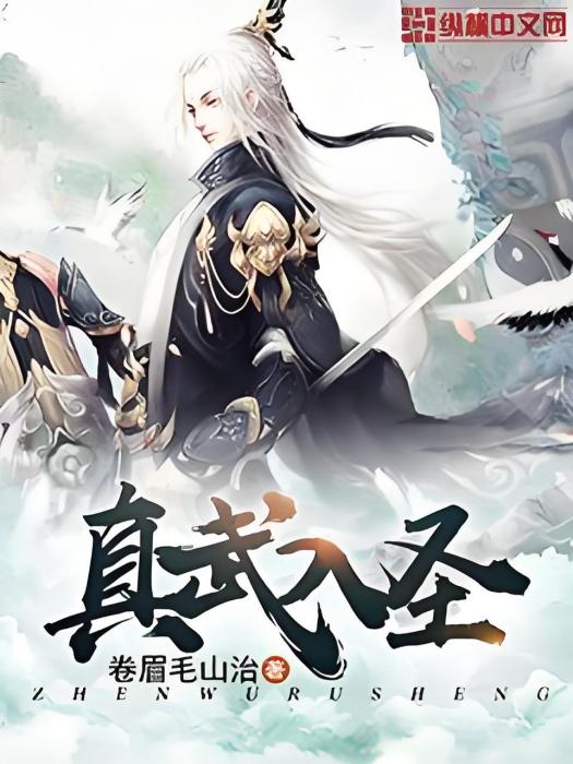 真武入聖 真武入聖