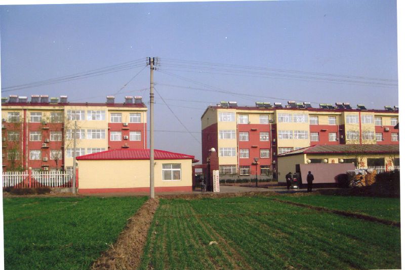 單莊村(河北省滄州市南皮縣寨子鎮下轄村) 單莊村(河北省滄州市南皮縣寨子鎮下轄村)