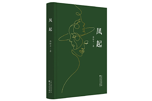 鳳起(2024年百花文藝出版社出版的圖書) 鳳起(2024年百花文藝出版社出版的圖書)