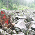 雙子山 雙子山
