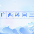 廣西科目三(科目三（源自廣西某婚禮現場多人歡歌起舞的場景）)