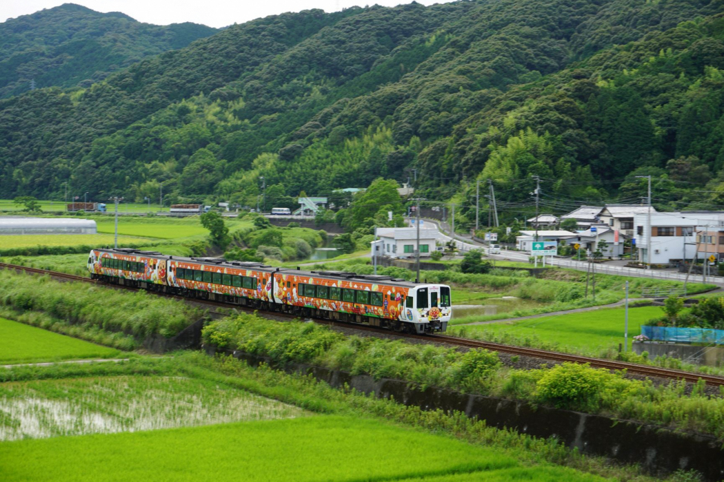 宿毛線 宿毛線