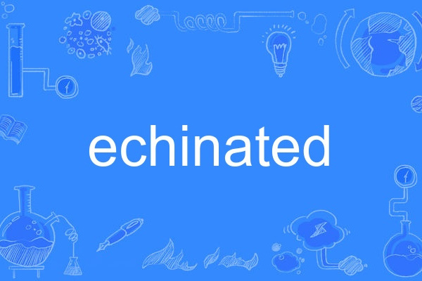 echinated echinated