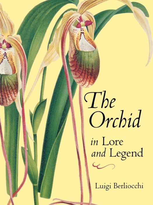 Orchid in Lore and Legend