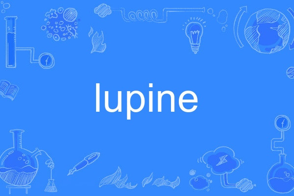 lupine lupine