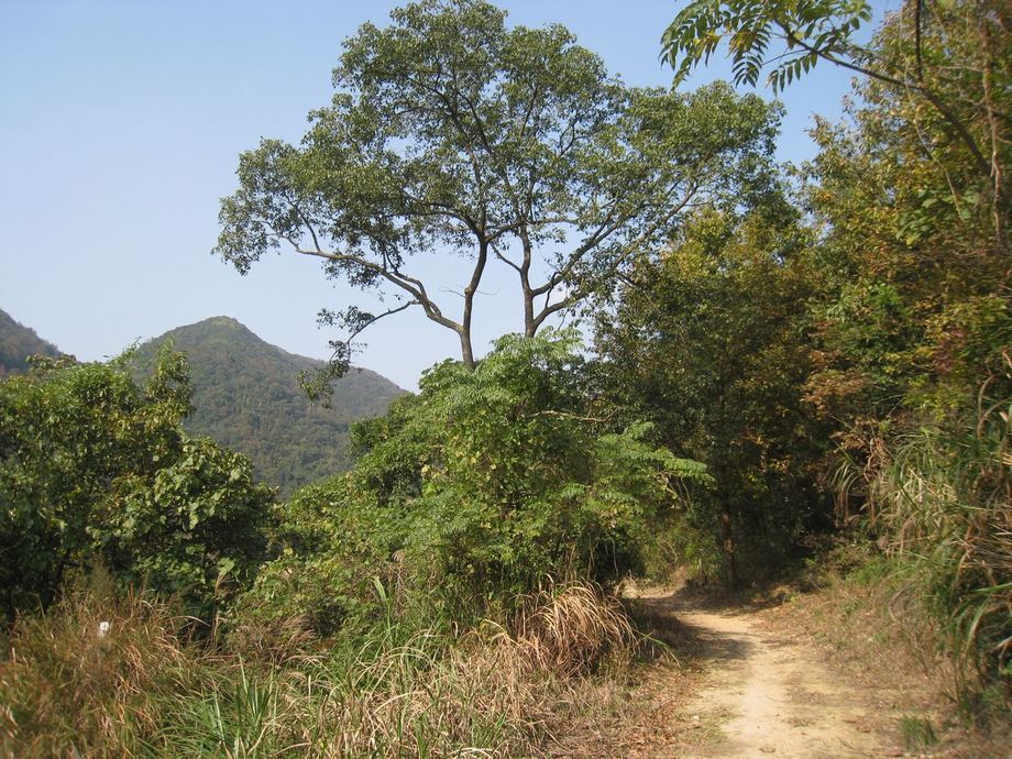 富竦古道 富竦古道
