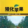 矮化蘋果 矮化蘋果