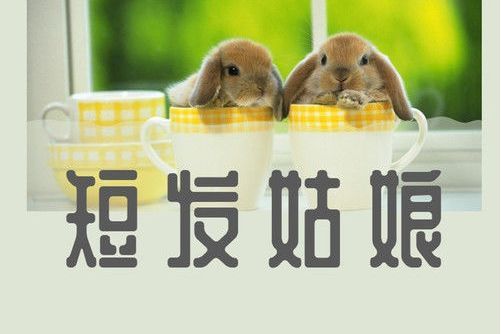 短髮姑娘(樂正綾演唱的歌曲) 短髮姑娘(樂正綾演唱的歌曲)