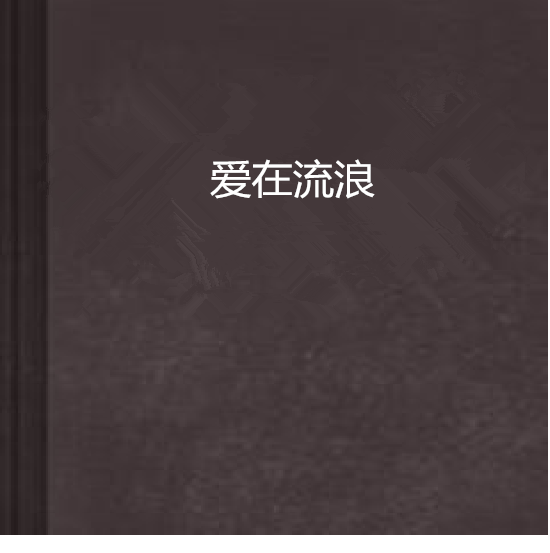 愛在流浪(都市小說)