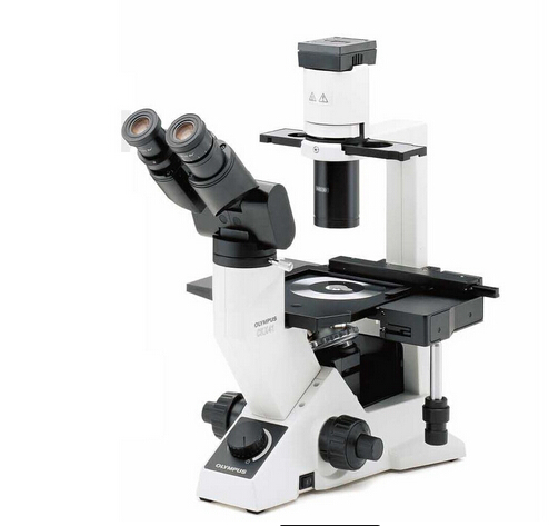 奧林巴斯顯微鏡CKX31/41