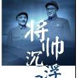 將帥沉浮錄 將帥沉浮錄