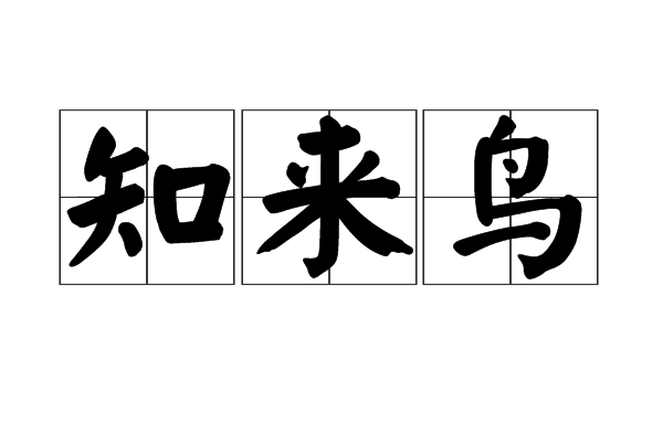 知來鳥(預知未來的鳥) 知來鳥(預知未來的鳥)