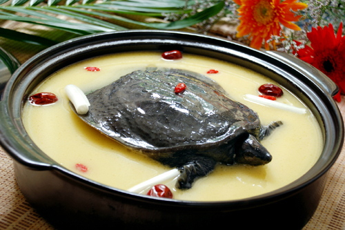 砂鍋鱉湯 砂鍋鱉湯