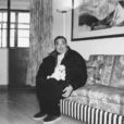 張綏(歷史學家) 張綏(歷史學家)