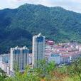 張家村(遼寧省興城市大寨鄉下轄村) 張家村(遼寧省興城市大寨鄉下轄村)