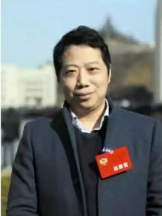 梅鑫(藥王谷抗癌村資本操盤者) 梅鑫(藥王谷抗癌村資本操盤者)