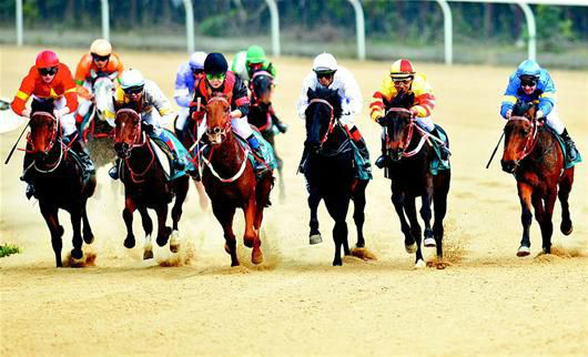 武漢國際賽馬節