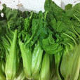 綠葉菜 綠葉菜