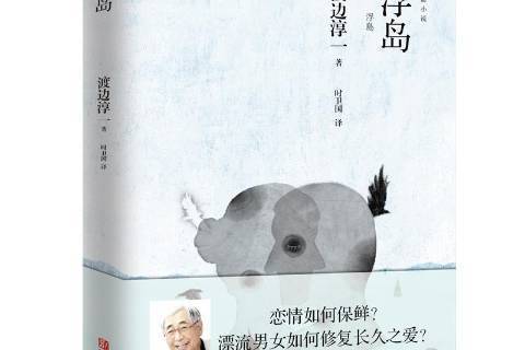 浮島(2018年青島出版社出版的圖書)
