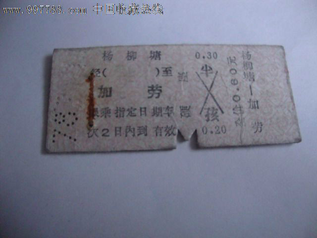 1989火車票