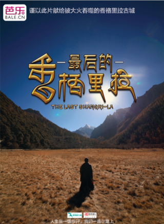 唐儷