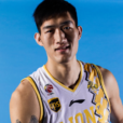 王征(中國籃球運動員)