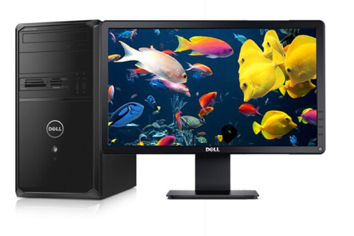 戴爾Vostro 3901-R6638 戴爾Vostro 3901-R6638