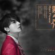 男人花(山野演唱歌曲) 男人花(山野演唱歌曲)