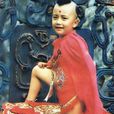 紅孩兒(中國古典小說《西遊記》中的人物) 紅孩兒(中國古典小說《西遊記》中的人物)