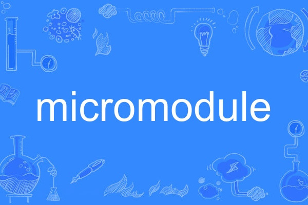 micromodule micromodule